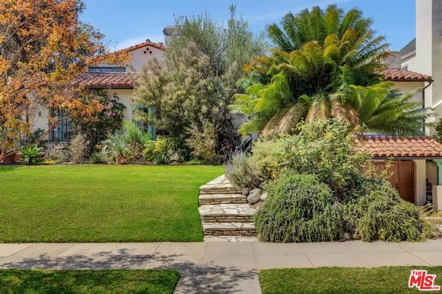 a view of a yard with plants