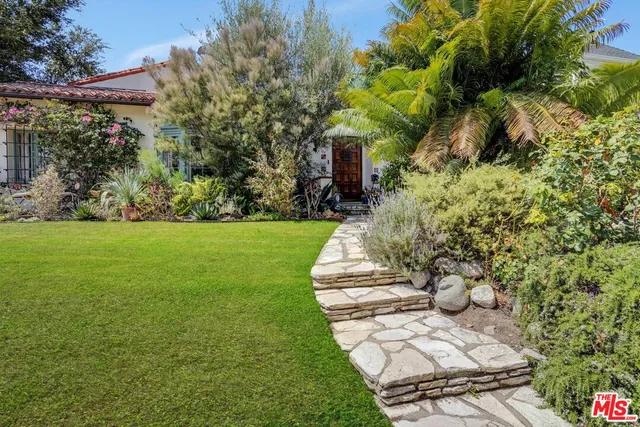 a view of a yard with plants