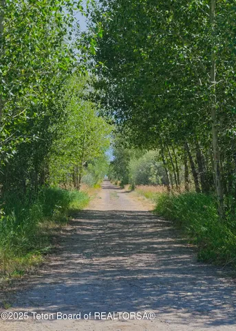 $399,000 | Lot 3 Wells Avenue, Felt, ID 83424