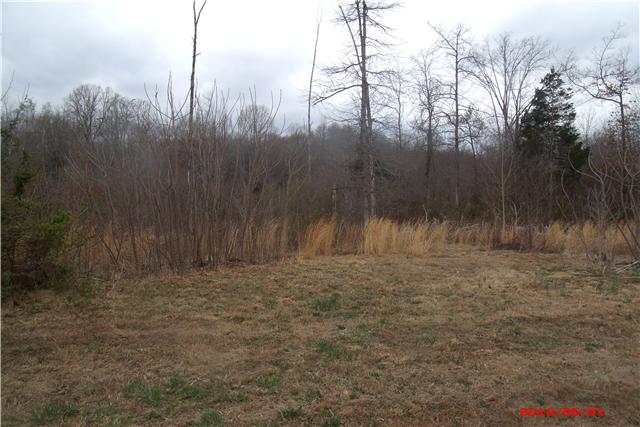 3545 Thomasville Road Chapmansboro, TN 37035 - Photo 11 of 11 View from deck