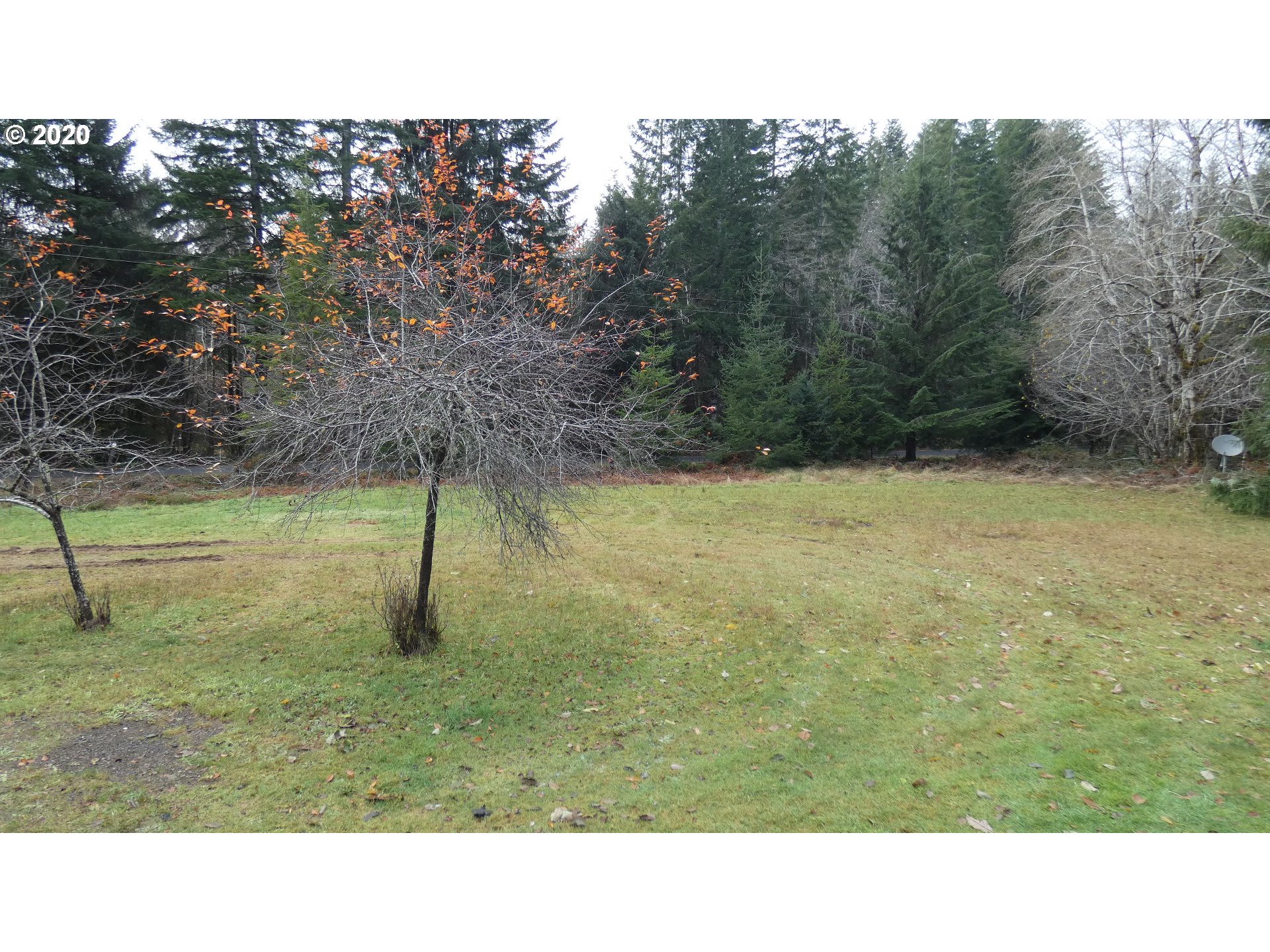 81111 Hamlet Road Seaside, OR 97138 - Photo 3 of 15 Gallery Image 3