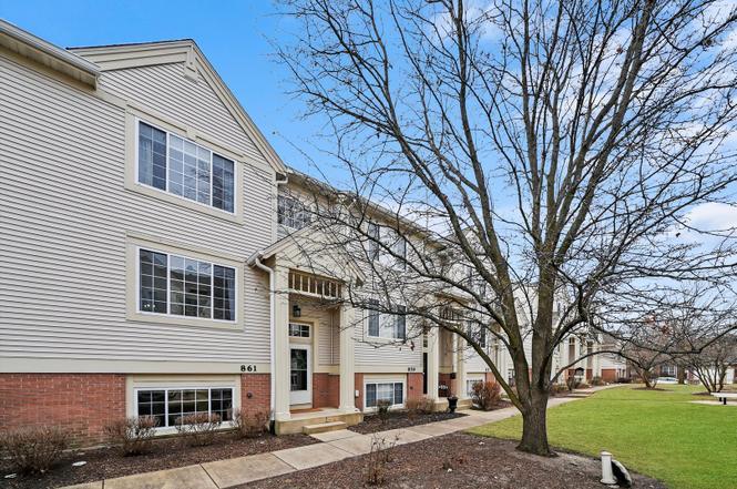 861 Pheasant Trail, Unit 861 St. Charles, IL 60174 - Photo 4 of 30