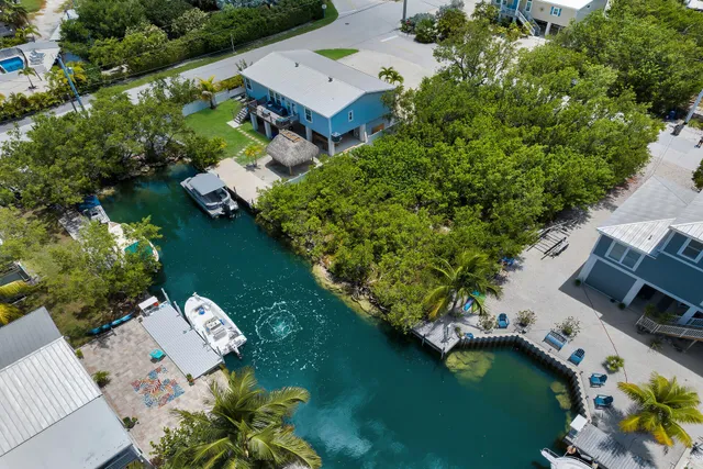 an aerial view of a house with a garden and lake view