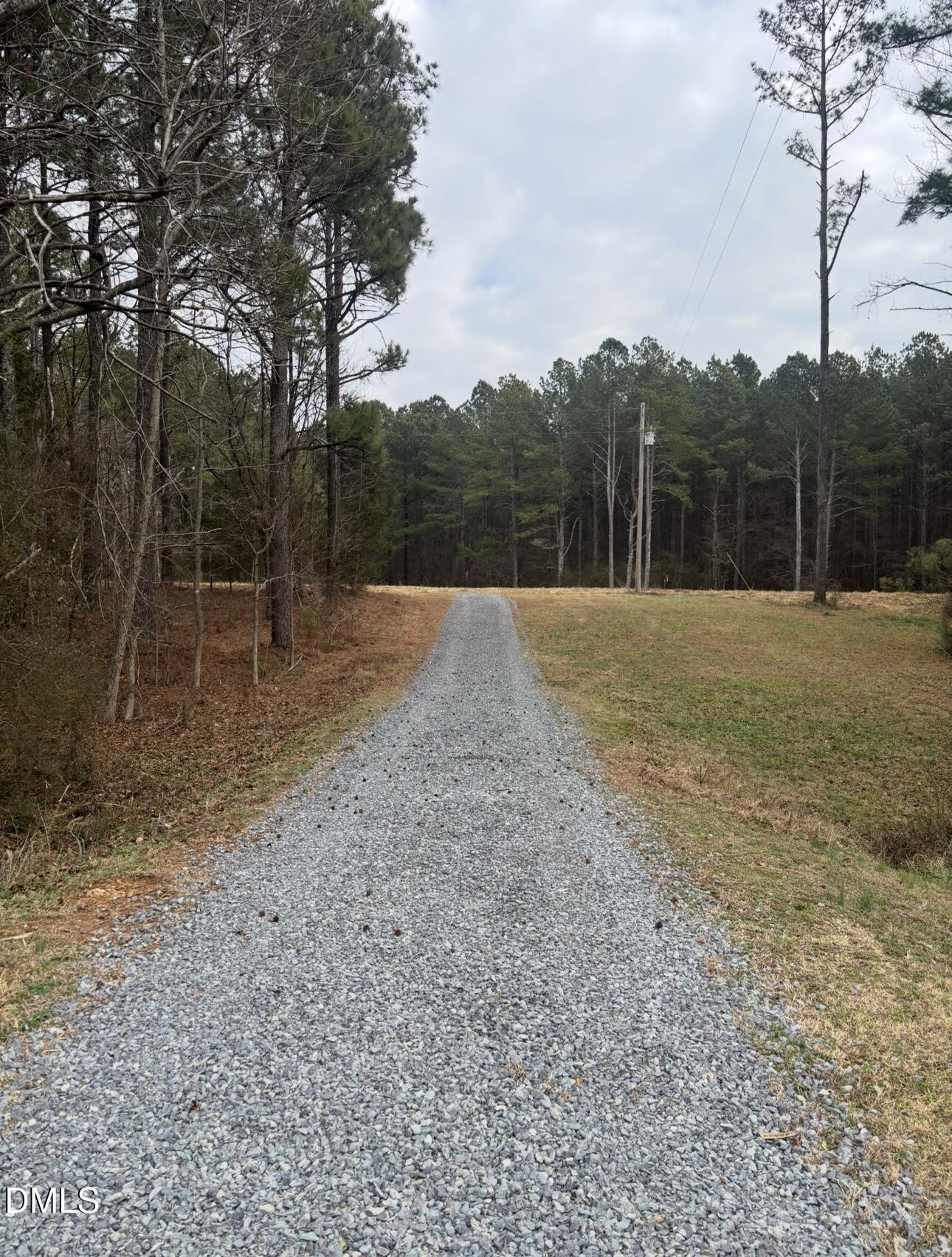 a view of outdoor space with trees all around