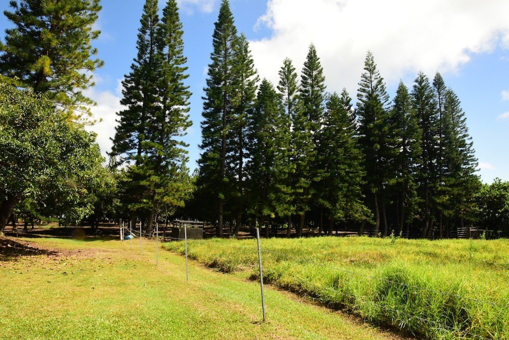 94-2148 South South Point Road Naalehu, HI 96772 - Photo 20 of 24 Gallery Image 20