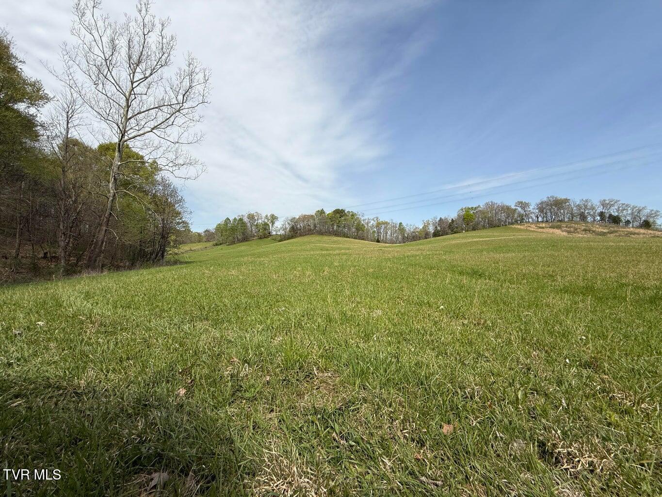 0 Longtown Road Bulls Gap, TN 37711 - Photo 18 of 34 20250417183831632312000000-o