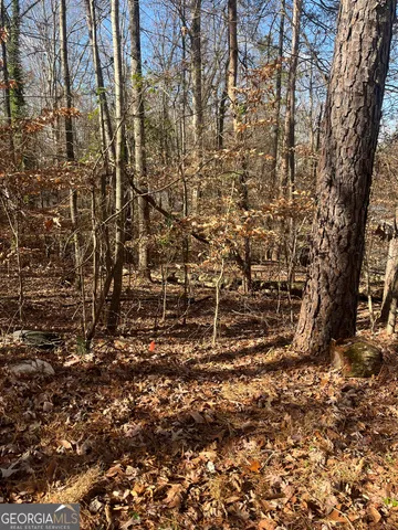 $17,100 | 0 Continental Trail, Gainesville, GA 30506