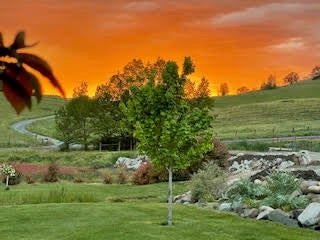 995 Suncrest Road Talent, OR 97540 - Photo 83 of 96 sunset view