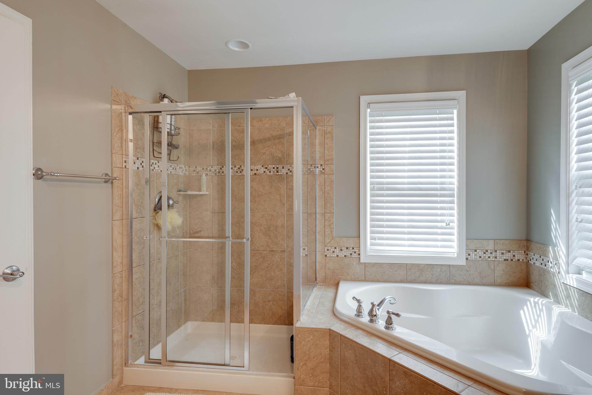 42317 Rising Moon Place Brambleton, VA 20148 - Photo 40 of 52 Gallery Image 40