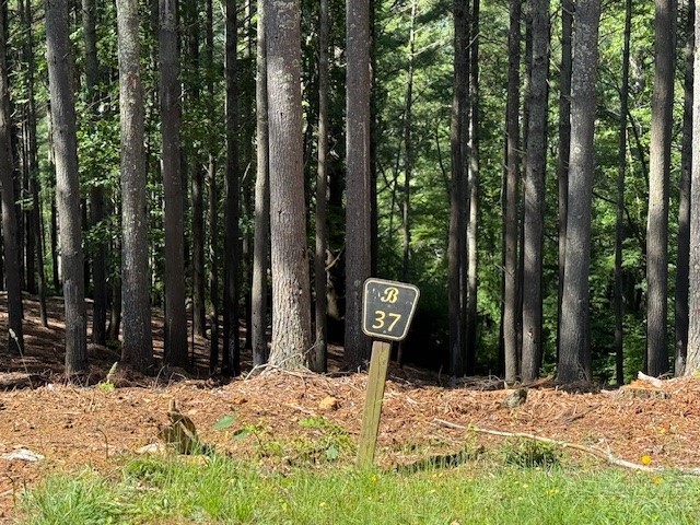 Lot 37 Smoke Rise Path West Jefferson, NC 28694 - Photo 5 of 6