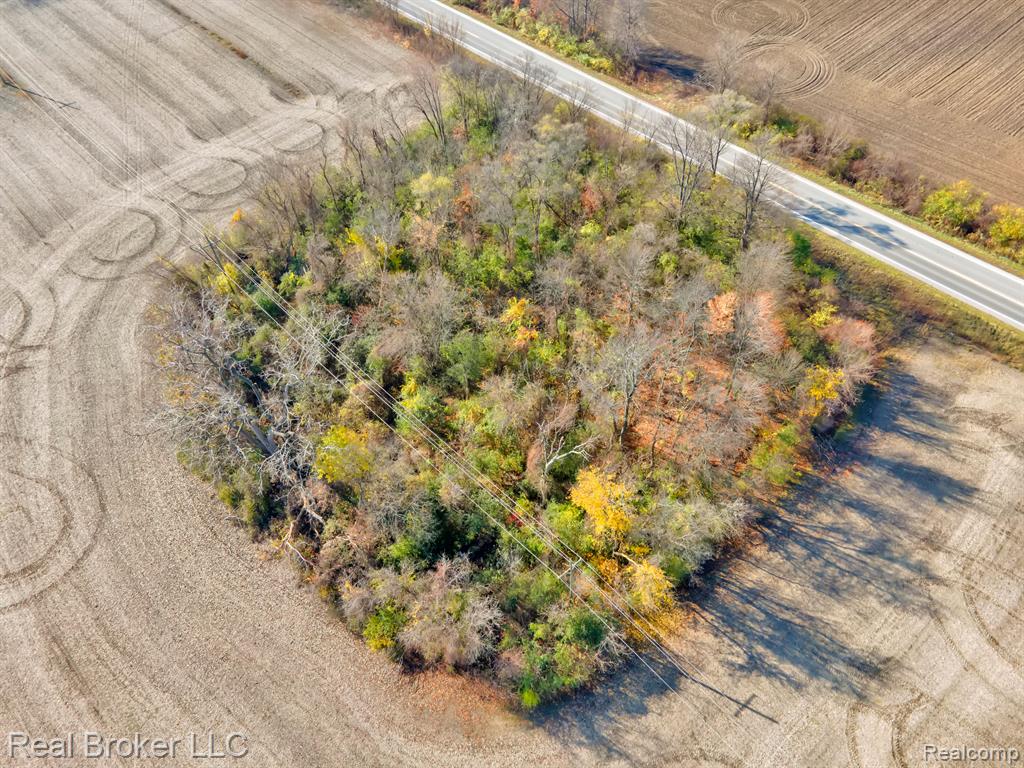 0 Hull Road Highland Park, MI 48203 - Photo 4 of 15
