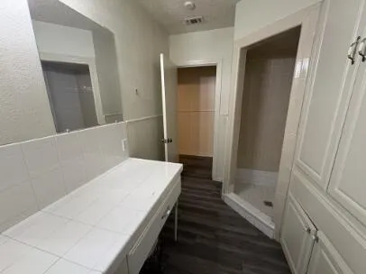 a bathroom with a sink and a shower