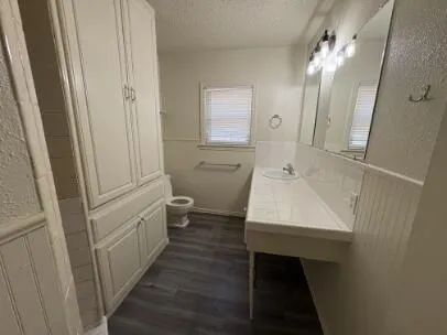 a bathroom with a sink a toilet a mirror and vanity