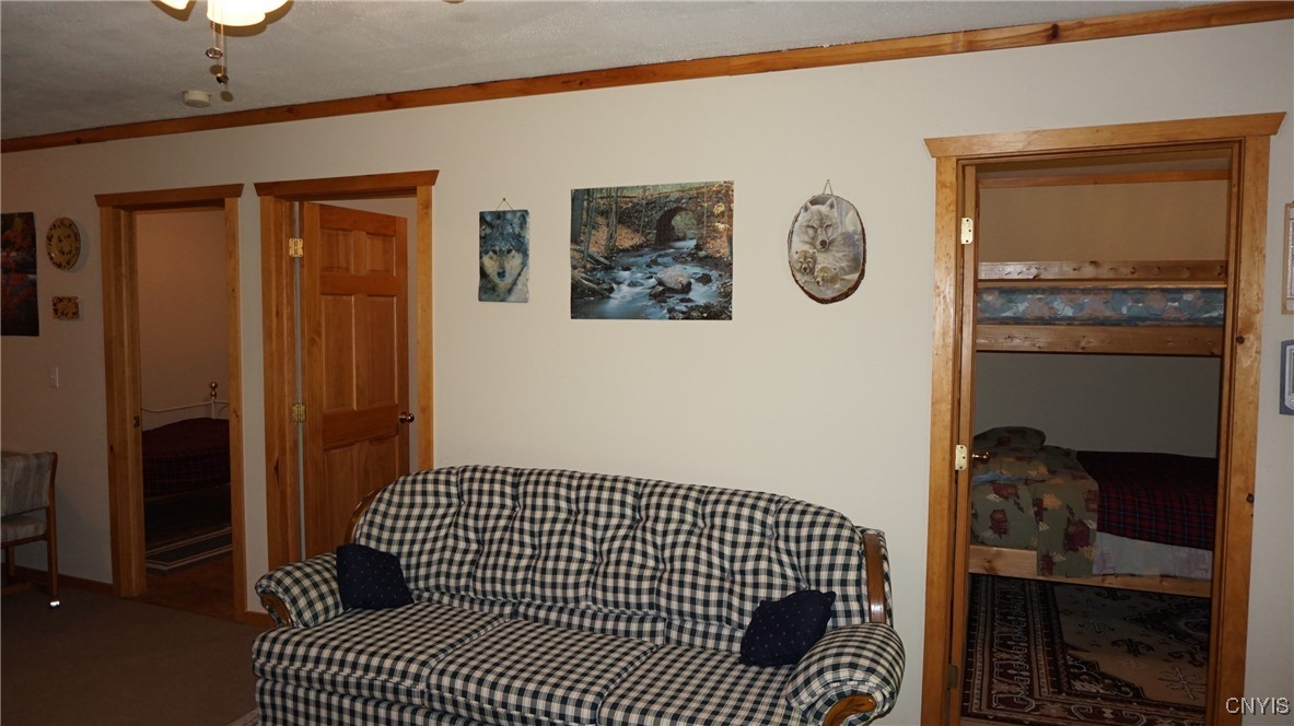 7341 County Rte 17 Boylston, NY 13083 - Photo 23 of 28