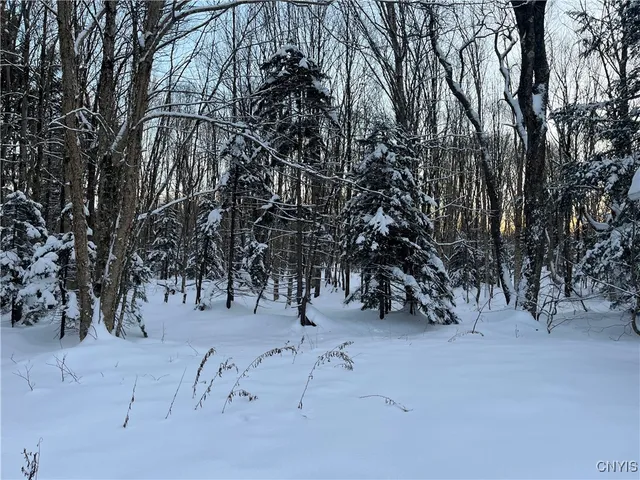 $149,900 | 7341 County Rte 17, Boylston, NY 13083