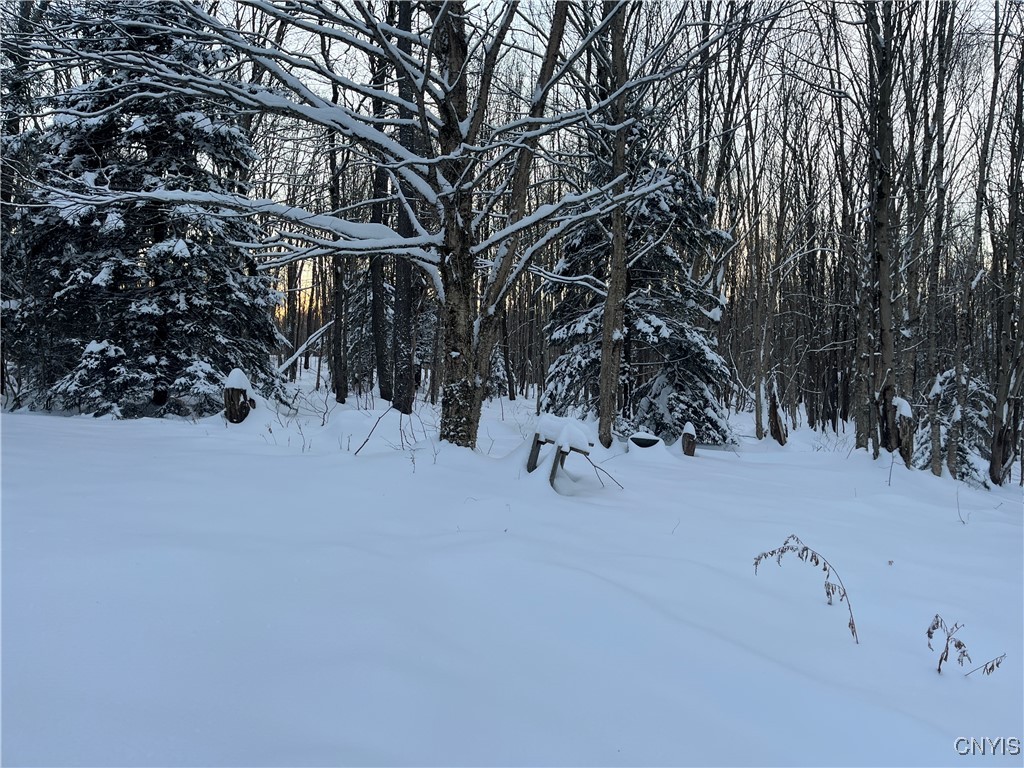 7341 County Rte 17 Boylston, NY 13083 - Photo 6 of 28