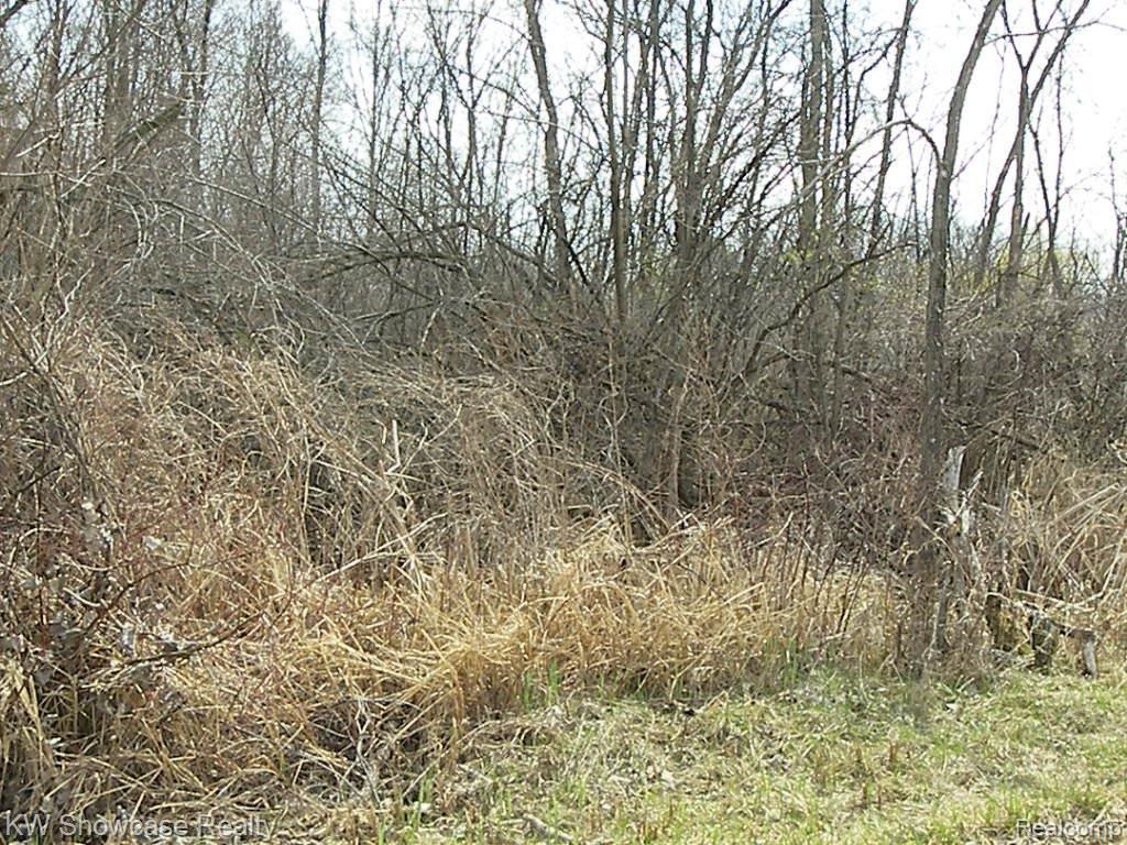 Vacant Shifman Road Goodrich, MI 48438 - Photo 6 of 9