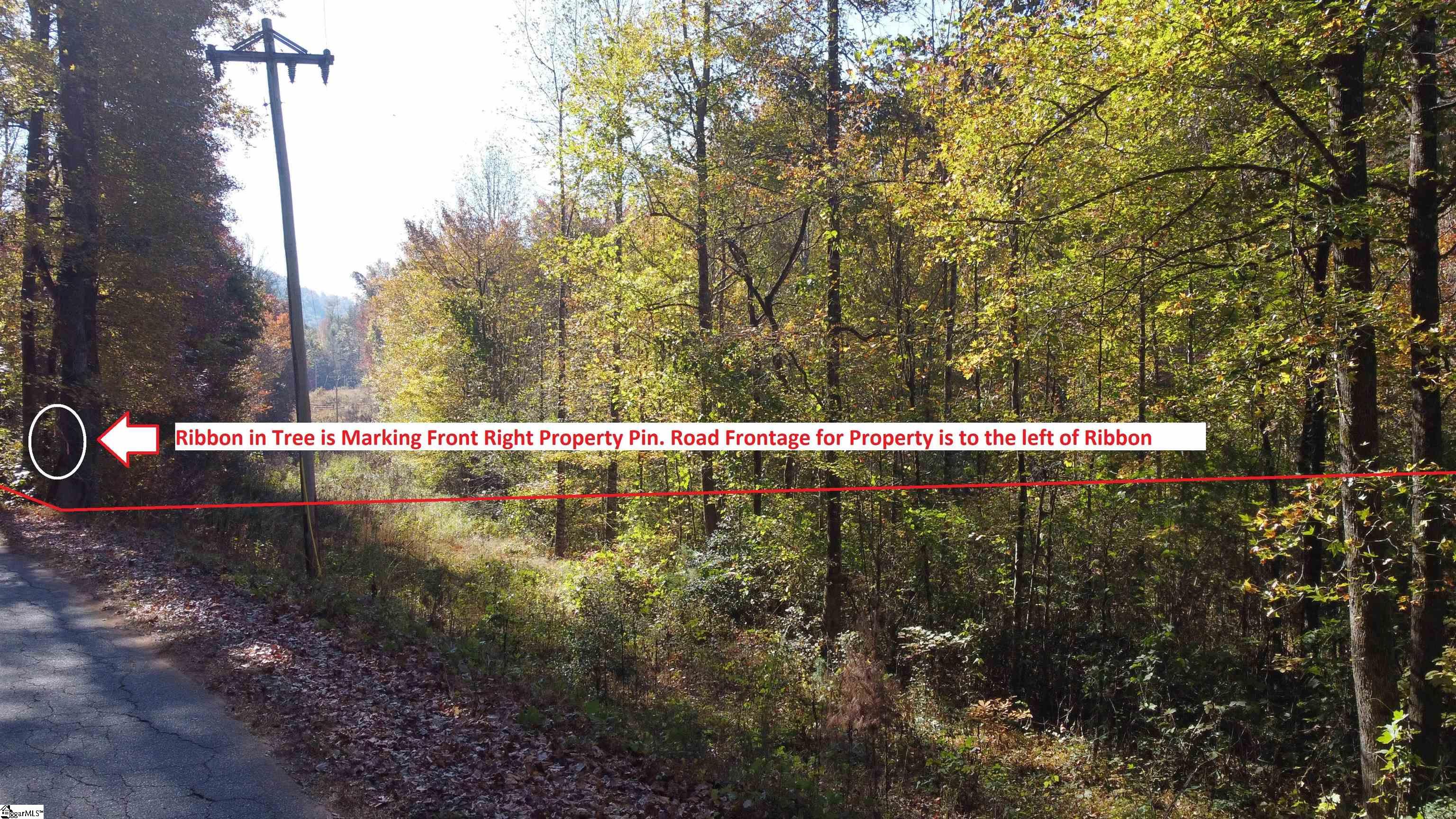 0 Devils Fork Road Marietta, SC 29661 - Photo 3 of 9