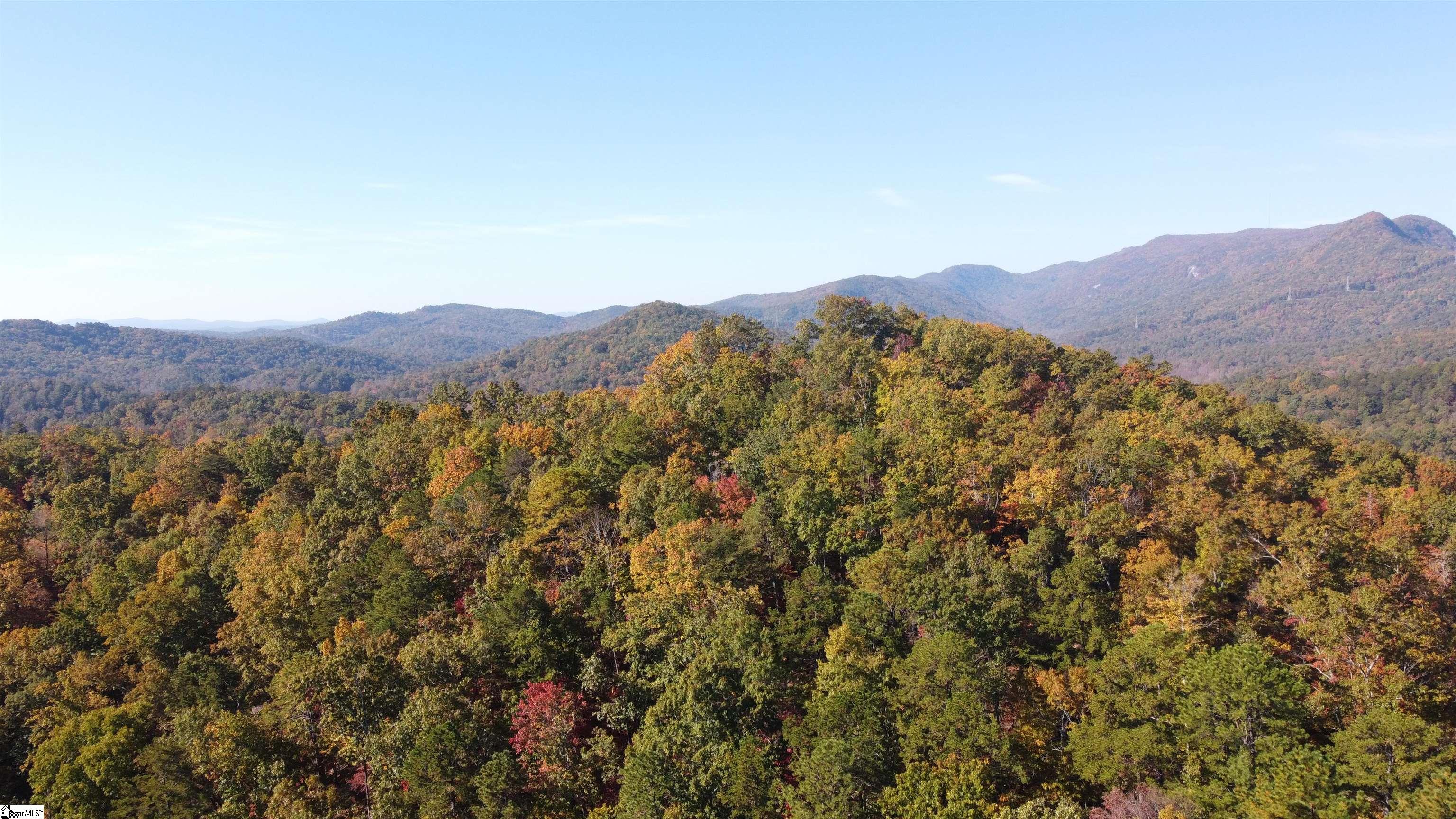 0 Devils Fork Road Marietta, SC 29661 - Photo 7 of 9