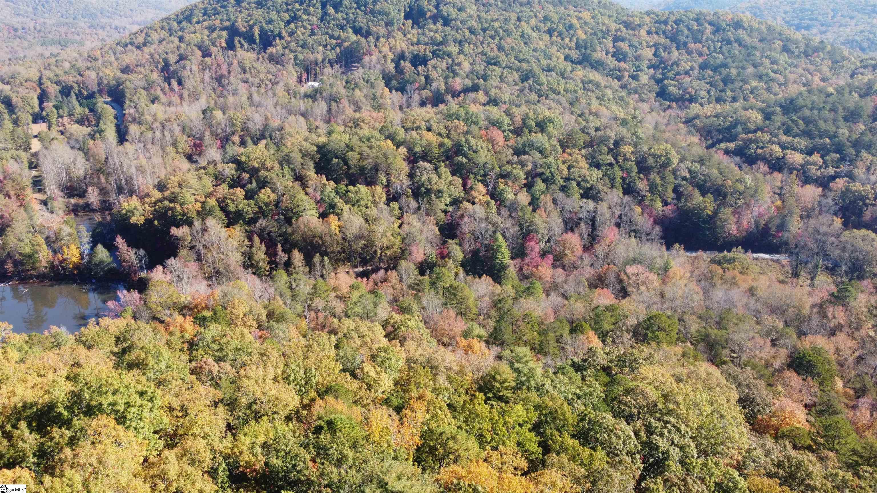 0 Devils Fork Road Marietta, SC 29661 - Photo 8 of 9