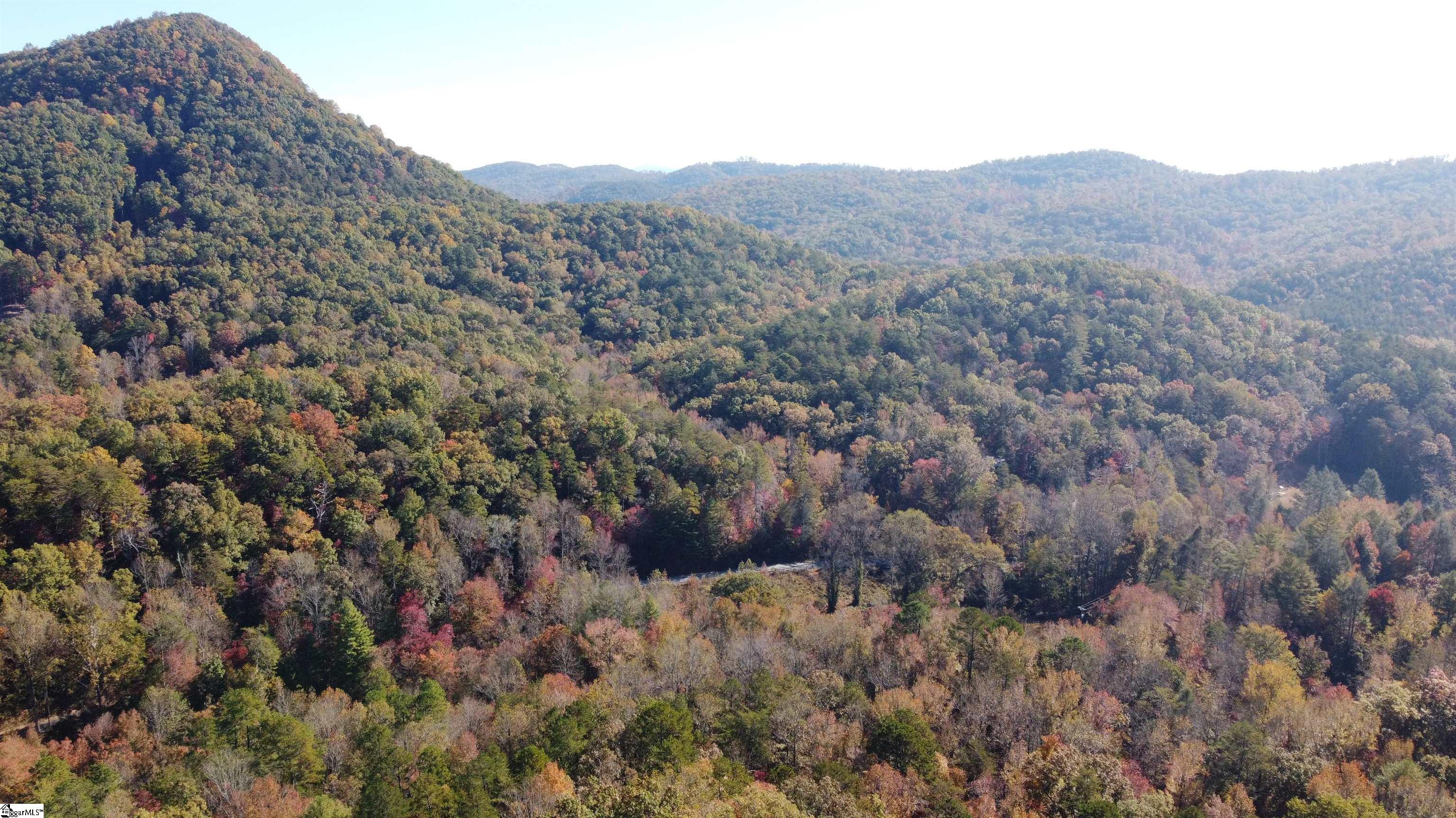 0 Devils Fork Road Marietta, SC 29661 - Photo 9 of 9
