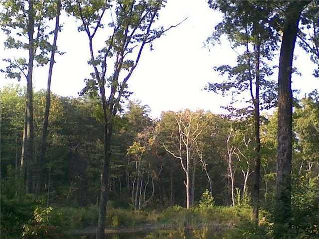 157 Buck Ridge Road Graysville, TN 37338 - Photo 1 of 6 Primary Photo