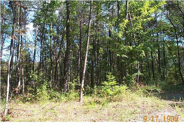 157 Buck Ridge Road Graysville, TN 37338 - Photo 3 of 6 Additional Photo