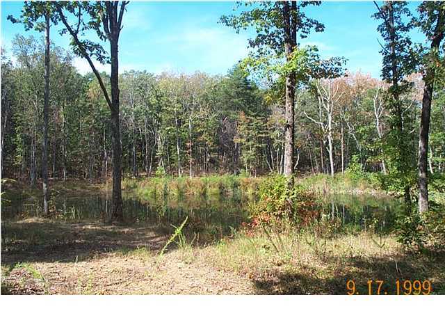 157 Buck Ridge Road Graysville, TN 37338 - Photo 4 of 6 Additional Photo