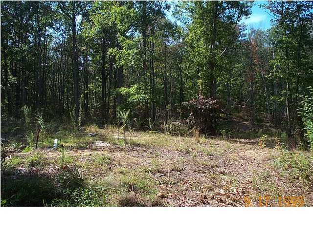 157 Buck Ridge Road Graysville, TN 37338 - Photo 5 of 6 Additional Photo