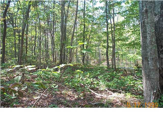 157 Buck Ridge Road Graysville, TN 37338 - Photo 6 of 6 Additional Photo