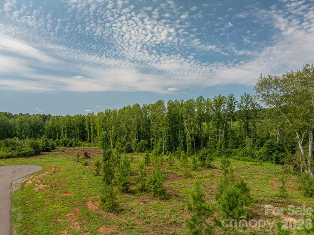 a view of an outdoor space and a yard