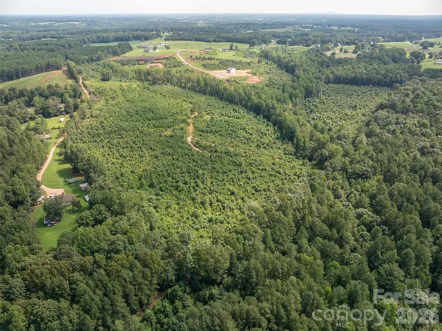 a view of a big yard with lots of green space and mountain view in back