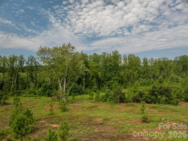 a view of a field with an trees
