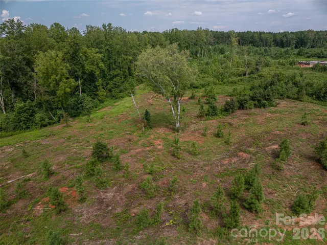 a view of a field with a tree in the background