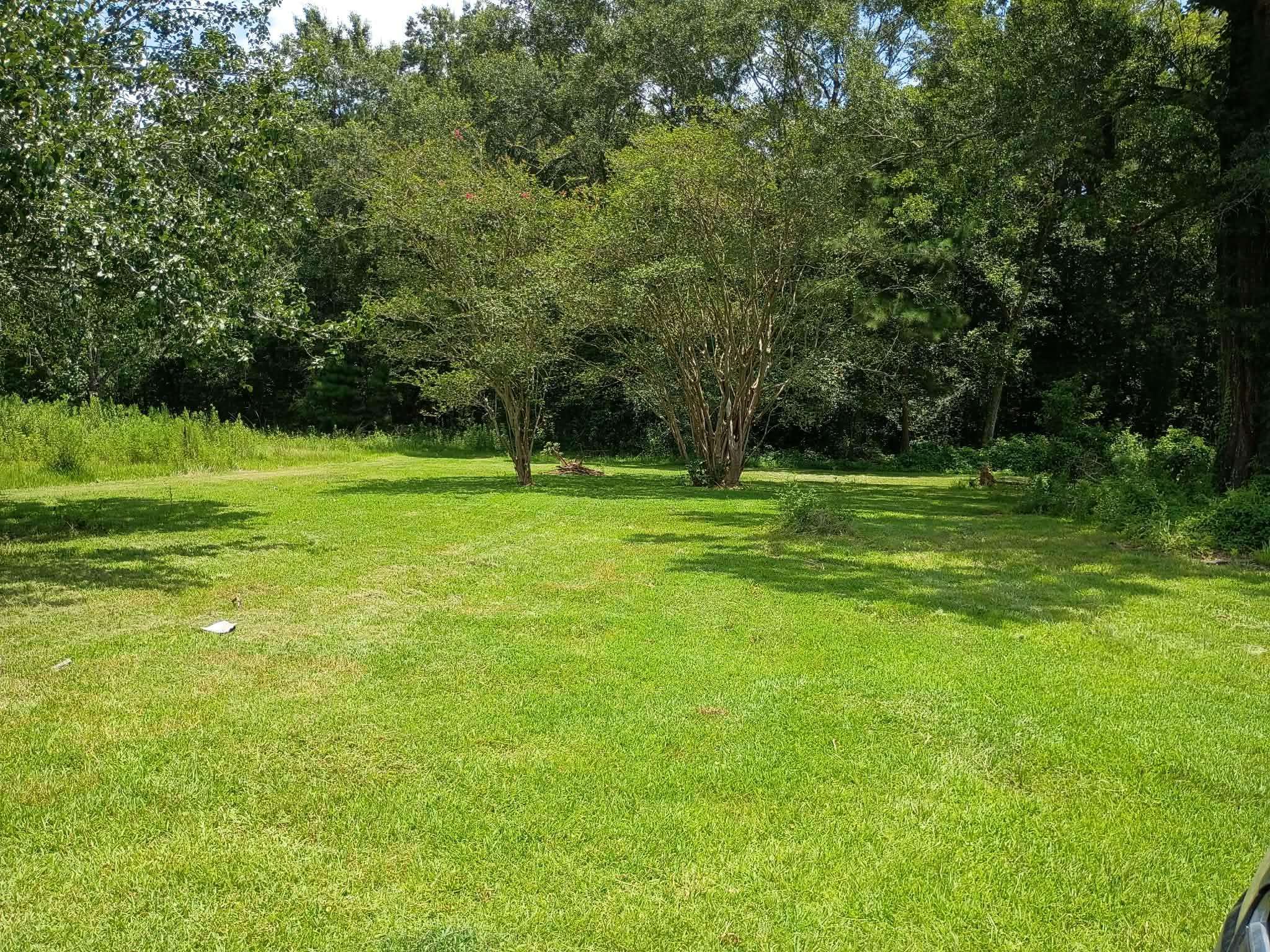 1155 Butler Road Vidor, TX 77662 - Photo 4 of 22