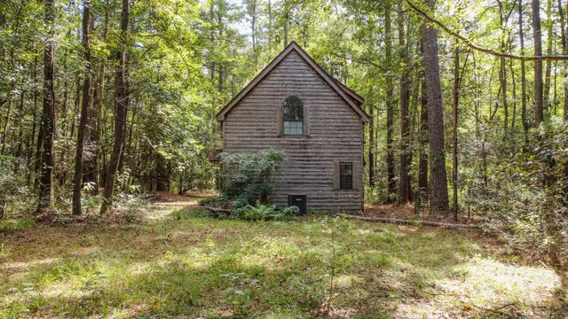 a view of a garden with a plant