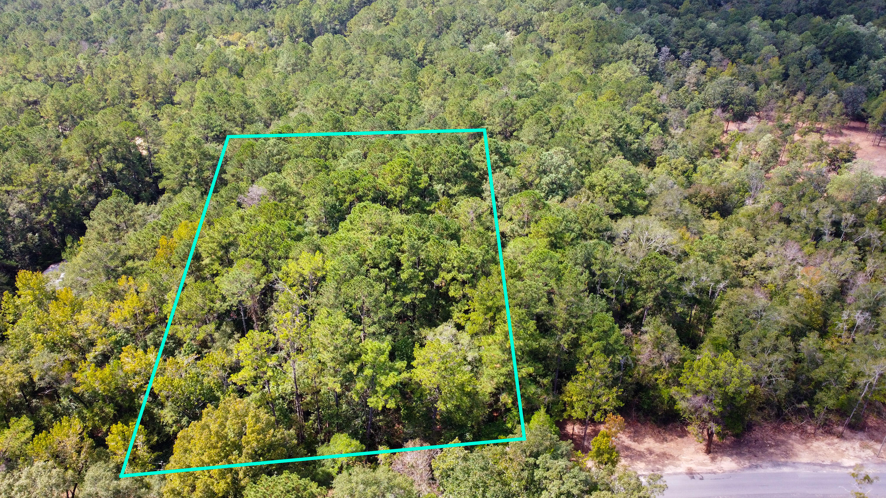 402 Miles Martin Road DeFuniak Springs, FL 32435 - Photo 2 of 31 a view of a garden with a plant