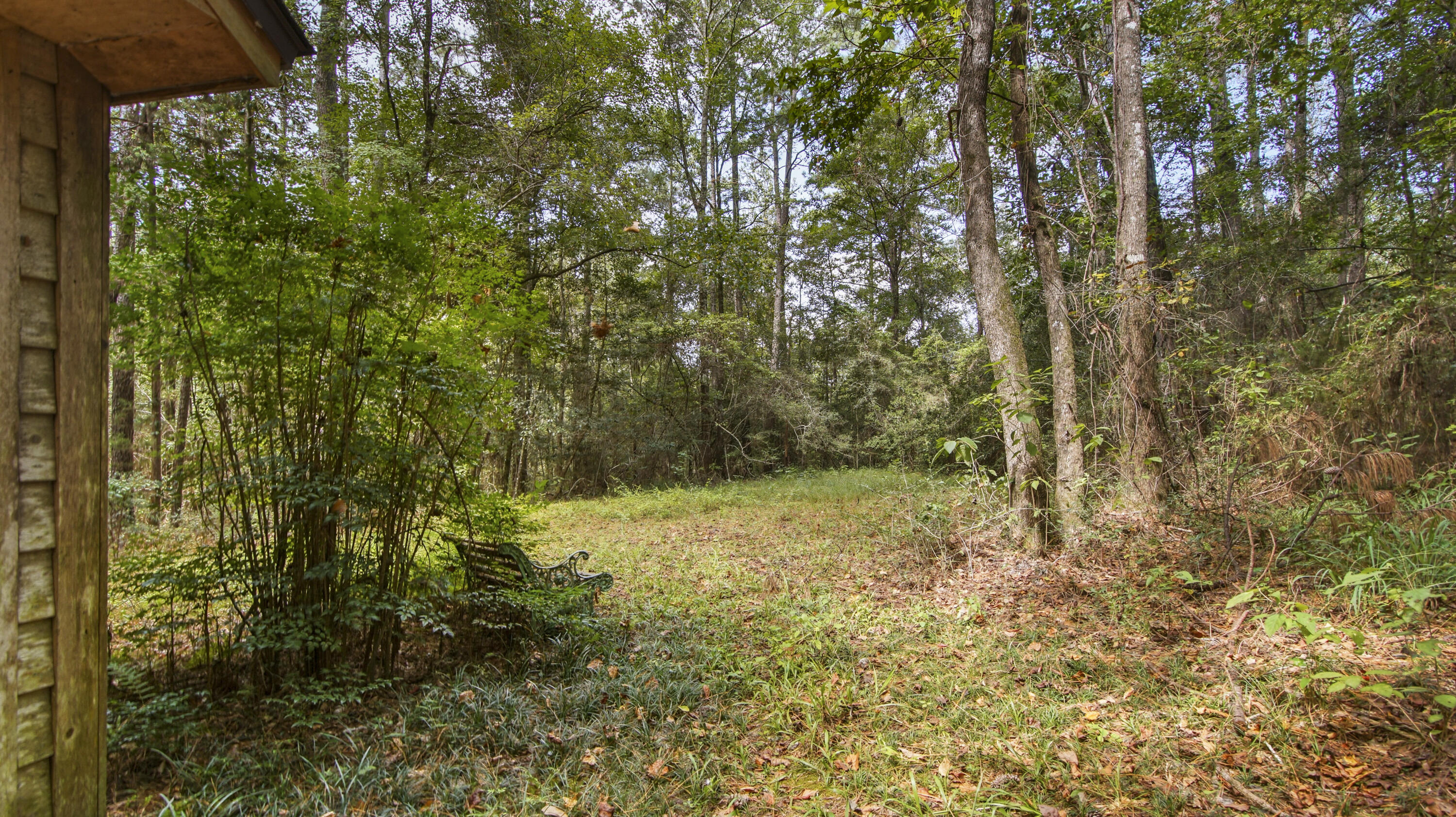 402 Miles Martin Road DeFuniak Springs, FL 32435 - Photo 21 of 31 a view of a yard with a tree