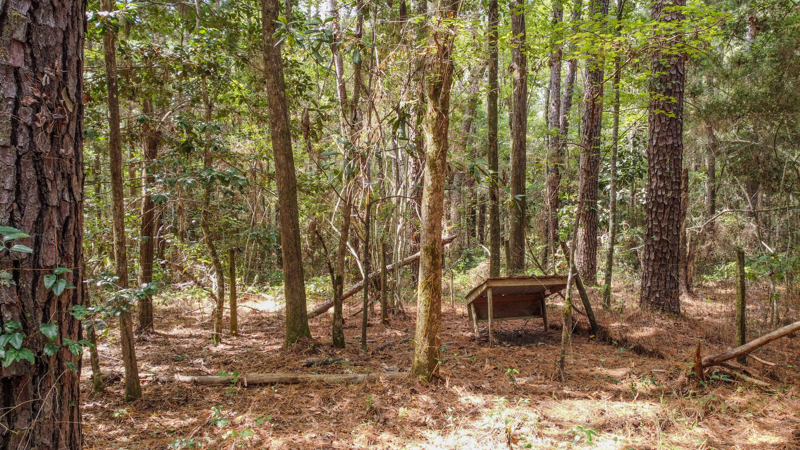 402 Miles Martin Road DeFuniak Springs, FL 32435 - Photo 22 of 31 a backyard of a house with table and chairs