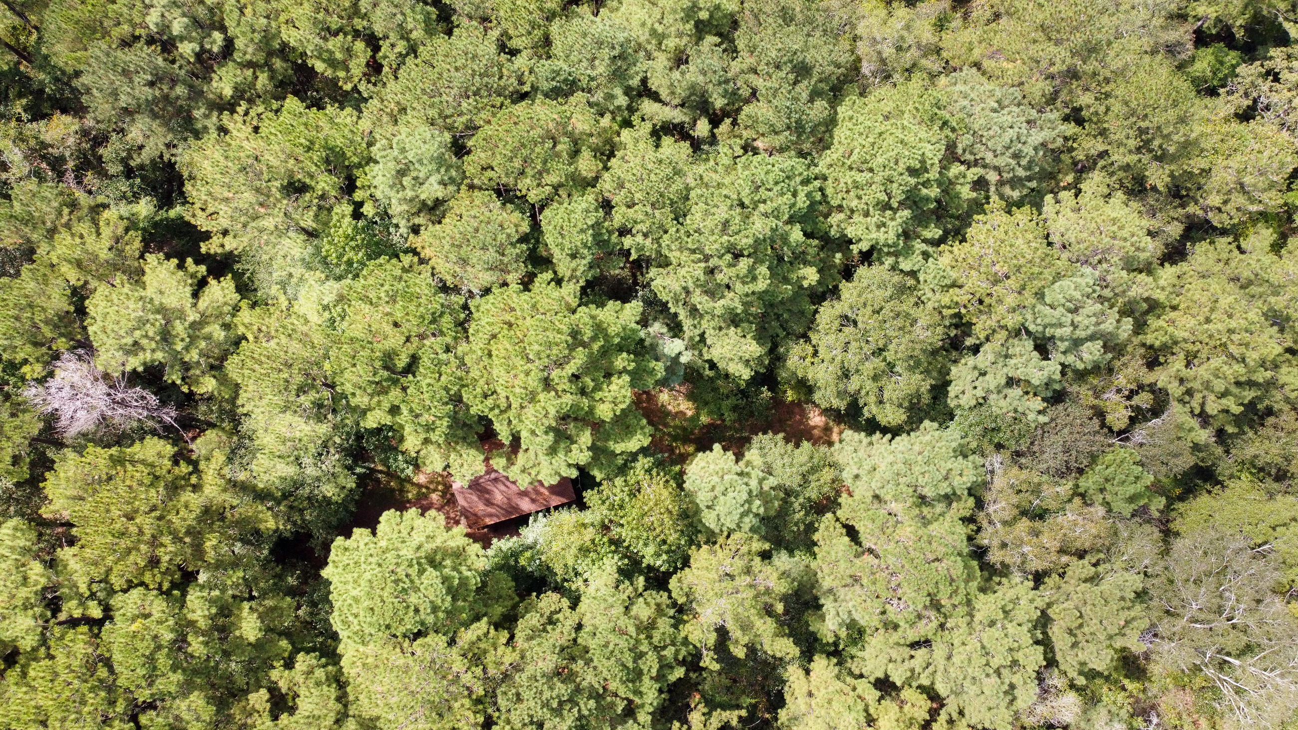 402 Miles Martin Road DeFuniak Springs, FL 32435 - Photo 26 of 31