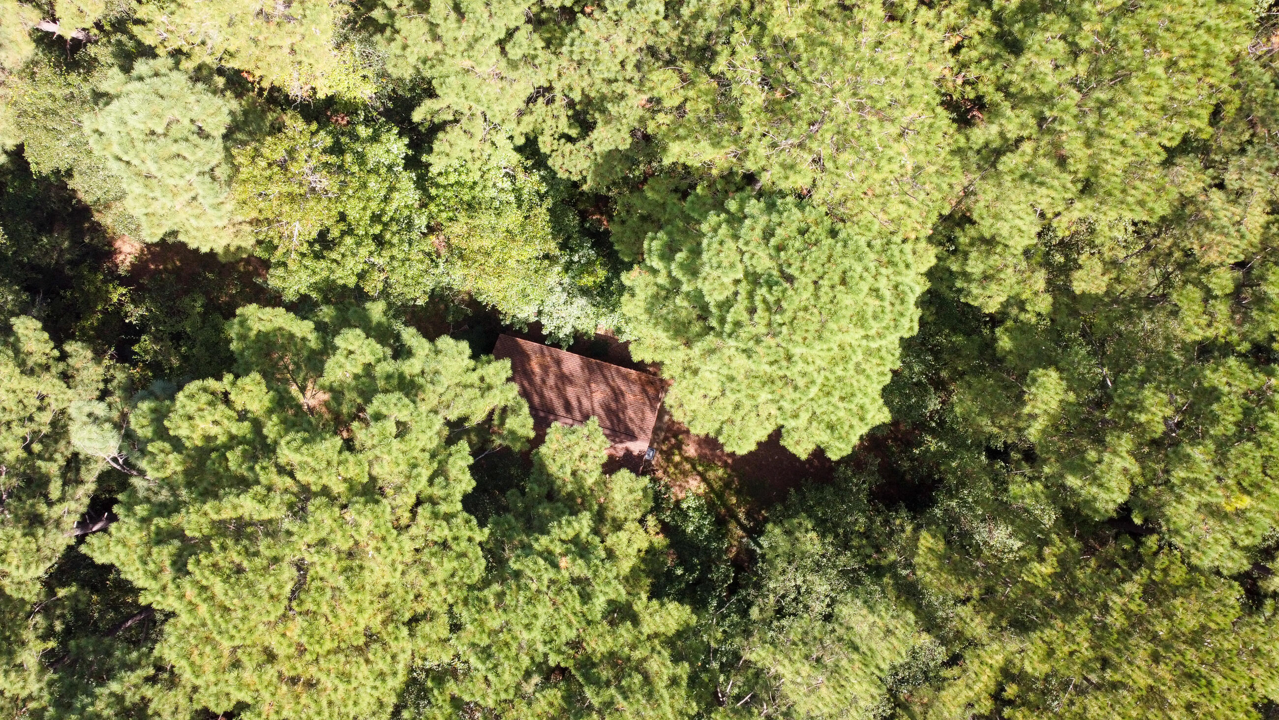 402 Miles Martin Road DeFuniak Springs, FL 32435 - Photo 27 of 31 a backyard of a house with lots of plants