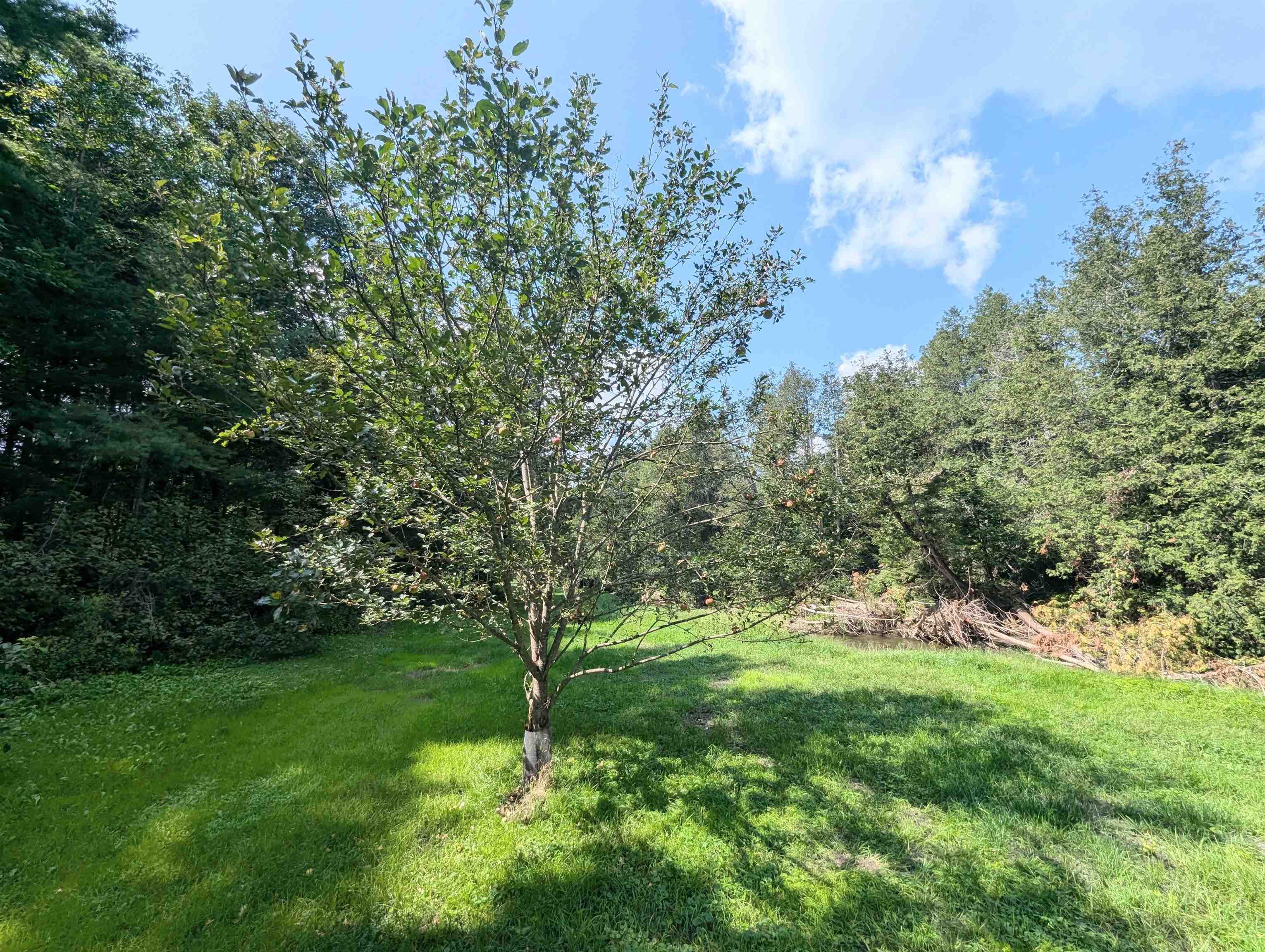 2454 West Barnet Road Barnet, VT 05821 - Photo 11 of 36