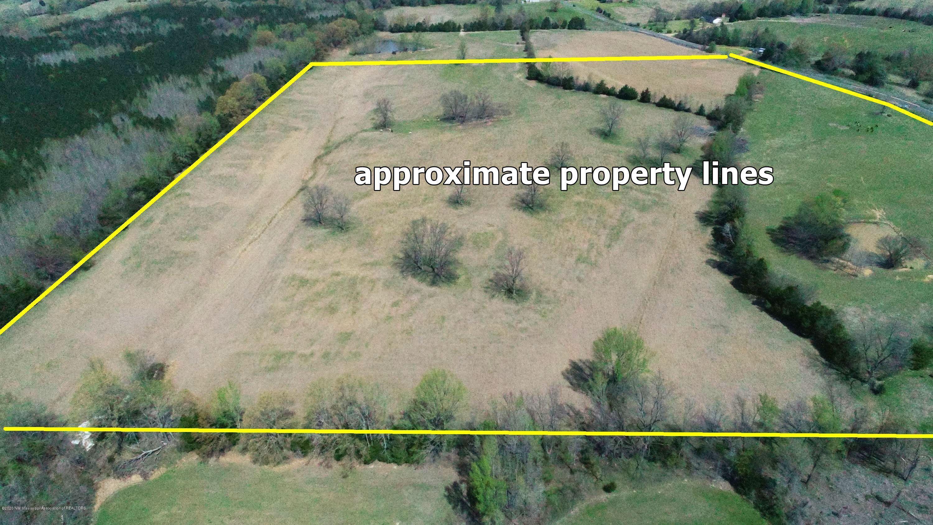 1759 Teasdale Road Enid, MS 38927 - Photo 19 of 40 48