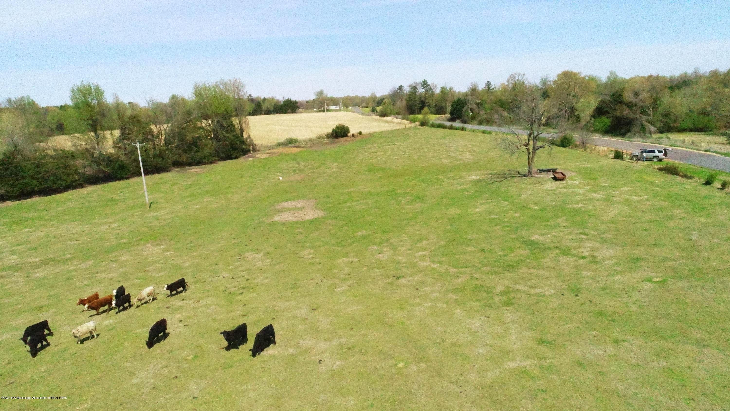 1759 Teasdale Road Enid, MS 38927 - Photo 29 of 40 68