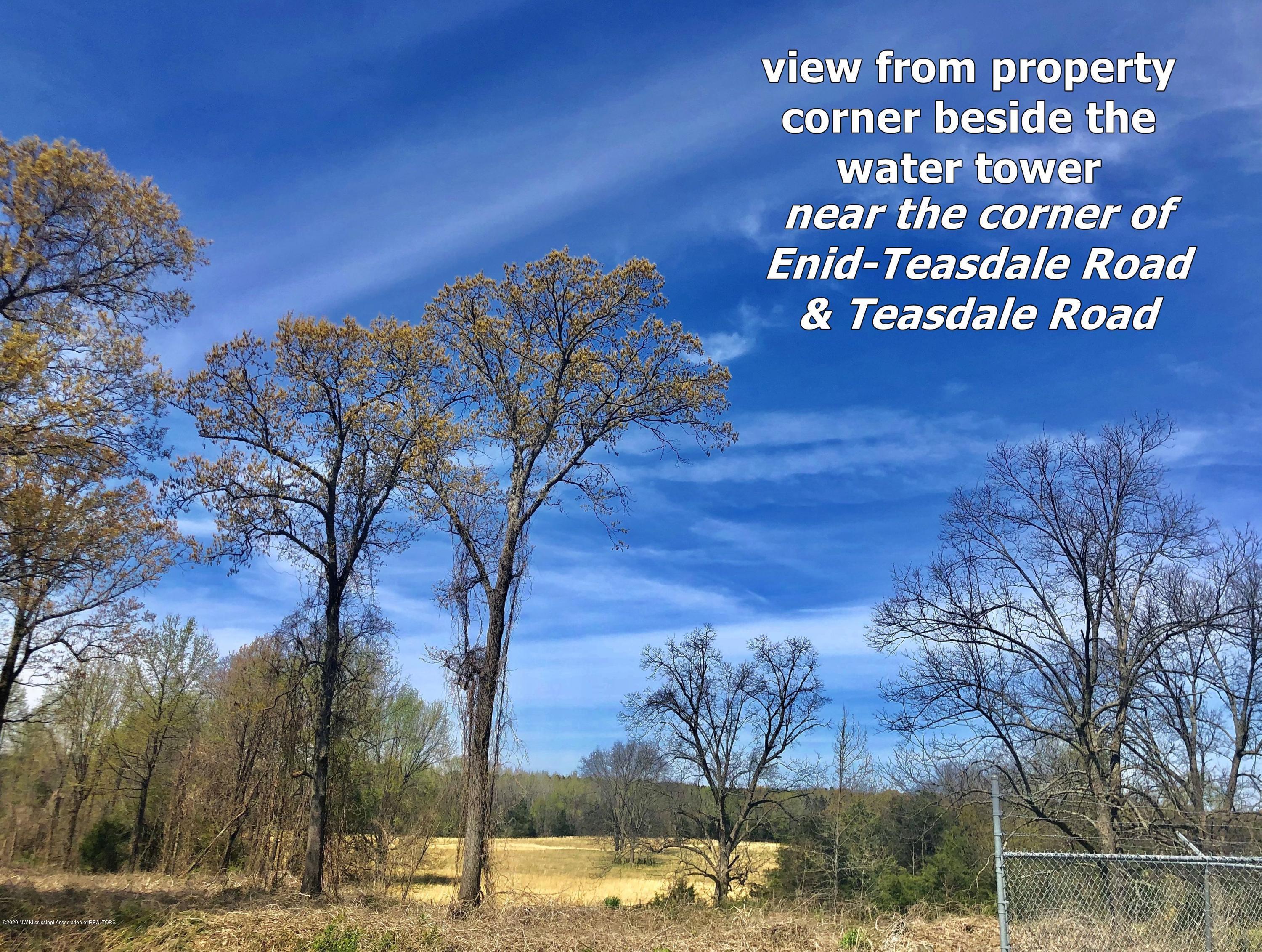 1759 Teasdale Road Enid, MS 38927 - Photo 35 of 40 IMG_9563