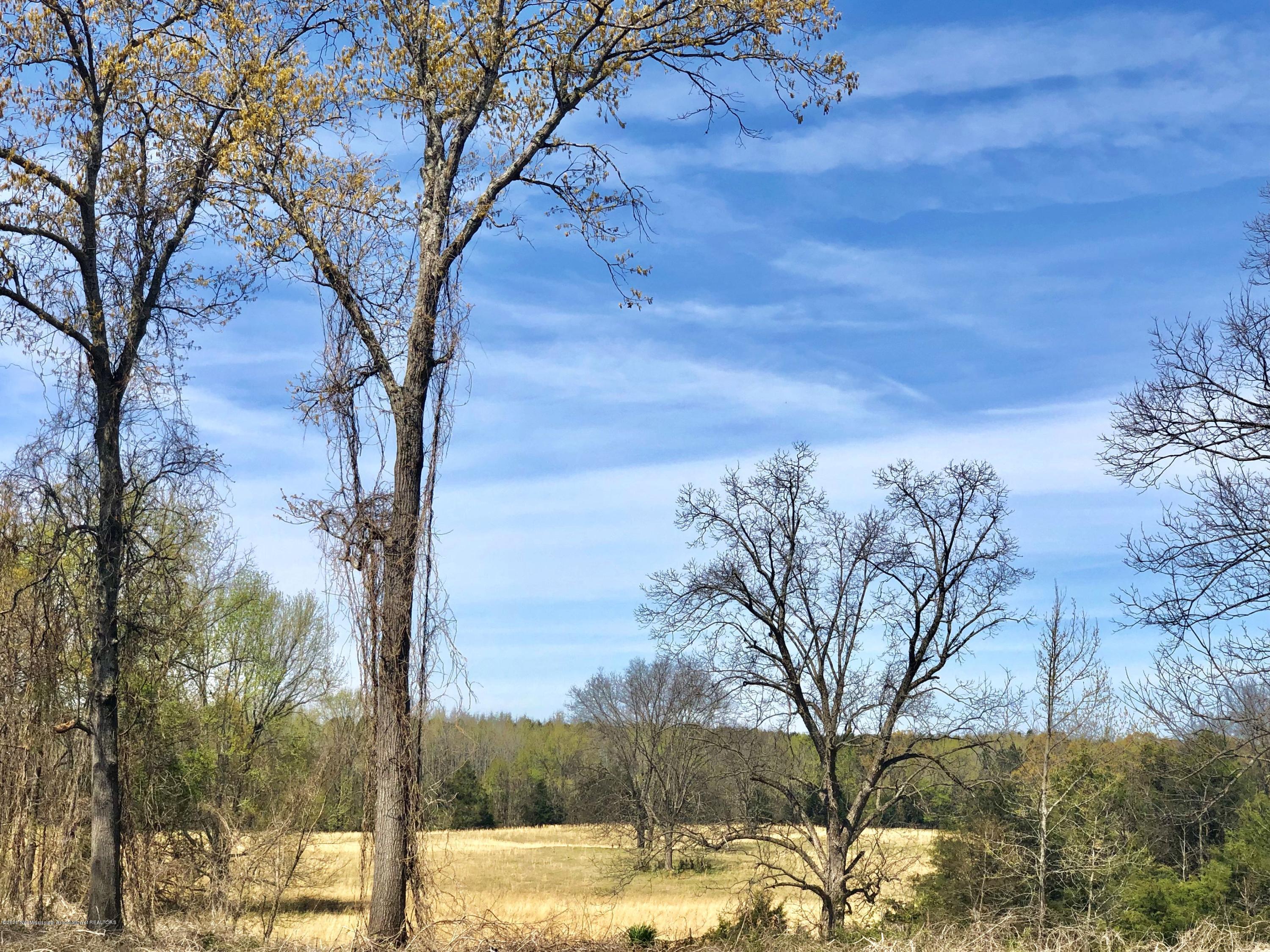 1759 Teasdale Road Enid, MS 38927 - Photo 36 of 40 IMG_9564