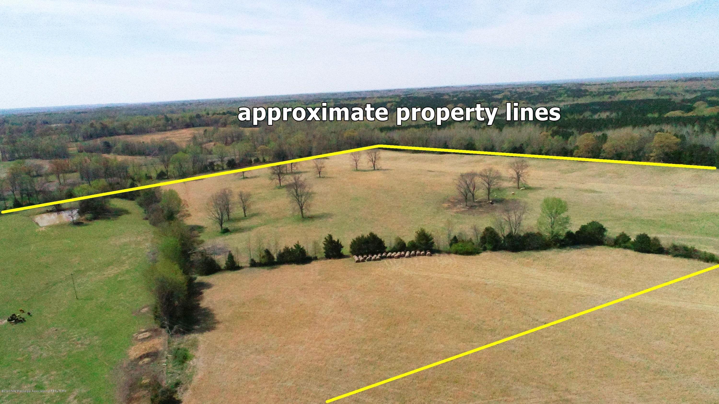 1759 Teasdale Road Enid, MS 38927 - Photo 9 of 40 15