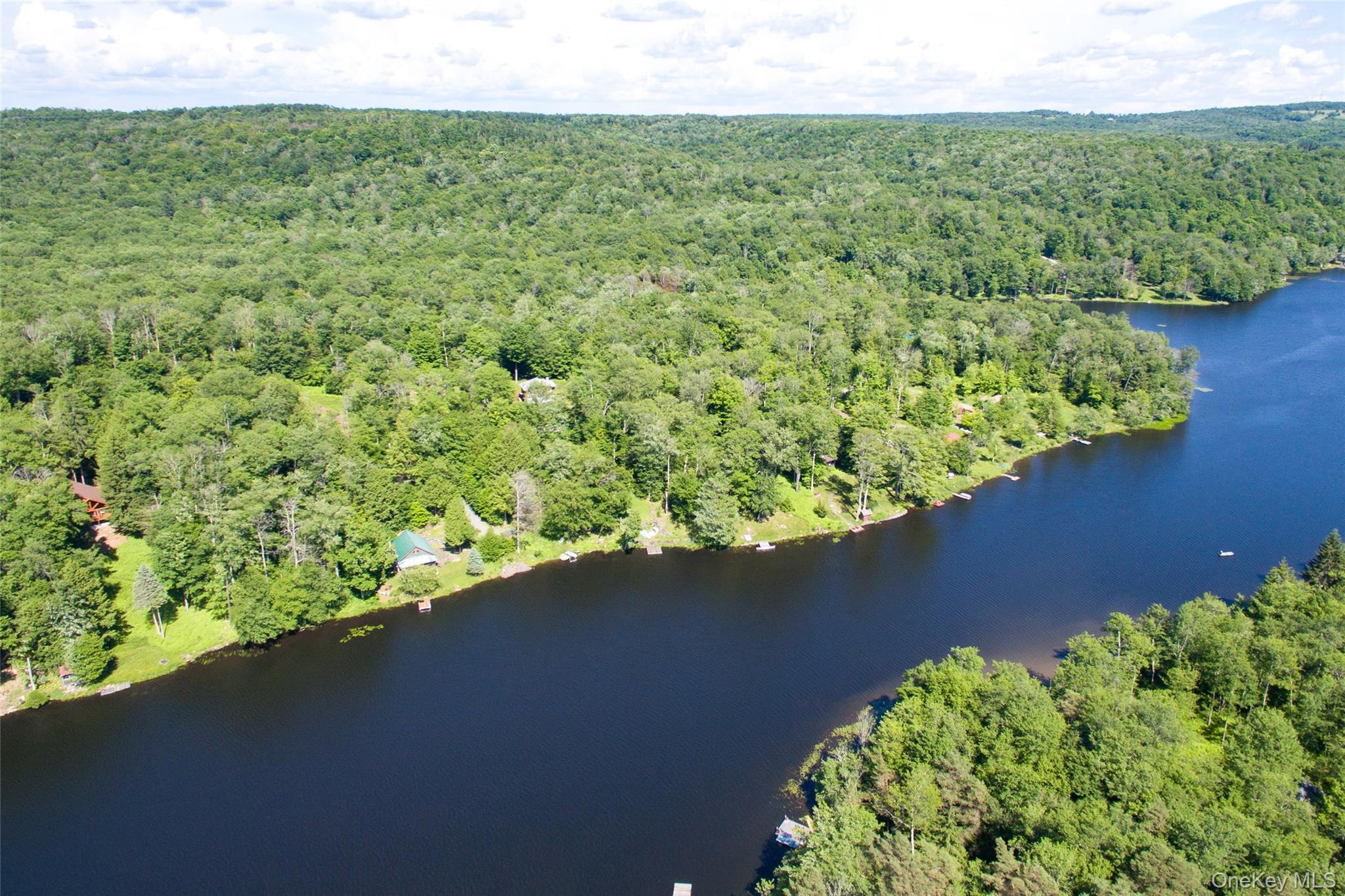 113 Lake Muskoday Road Roscoe, NY 12776 - Photo 26 of 27 Overhead view of the lake