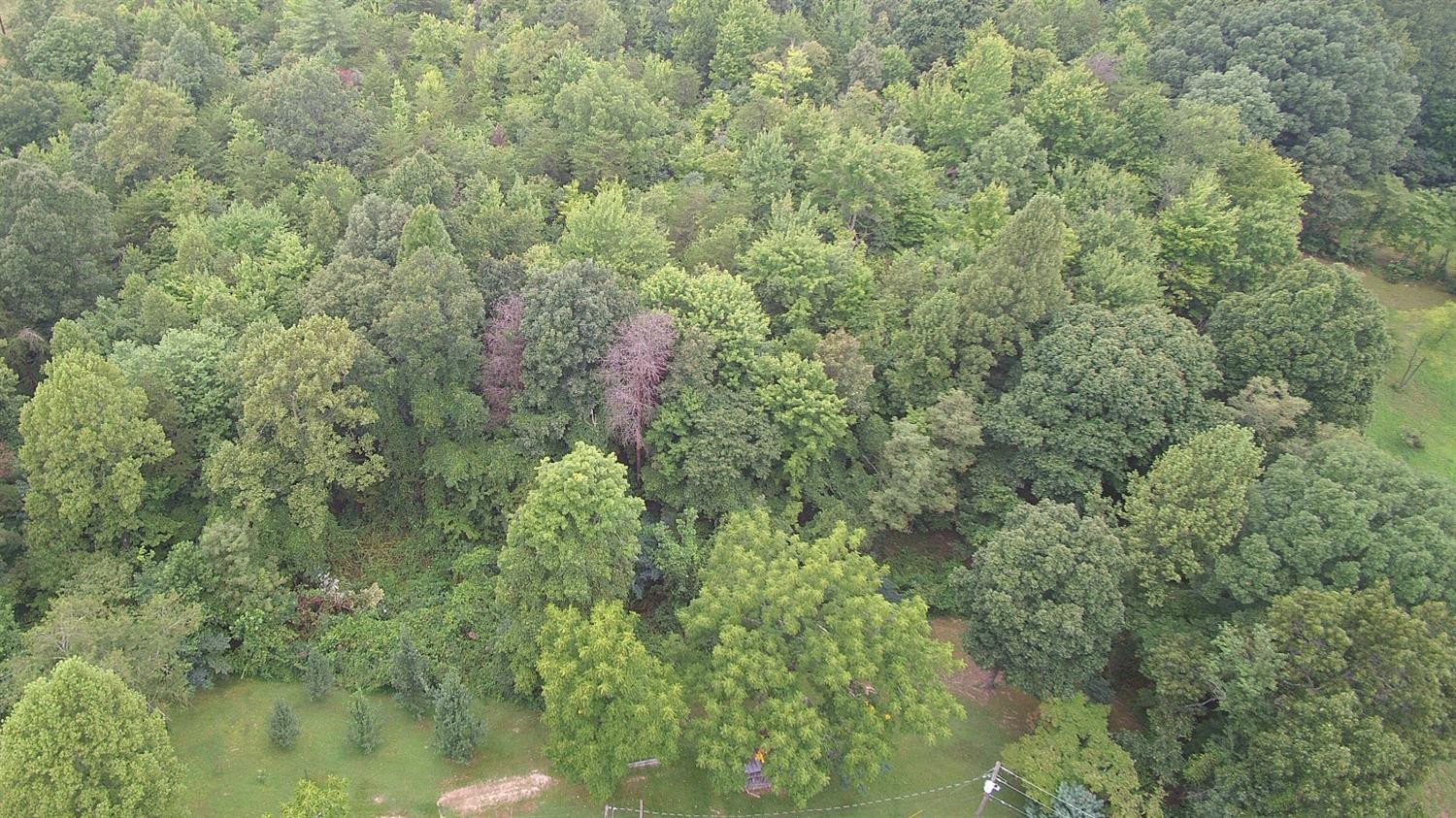 9999 Galimore Road Pine Knot, KY 42635 - Photo 29 of 35 Photo 29