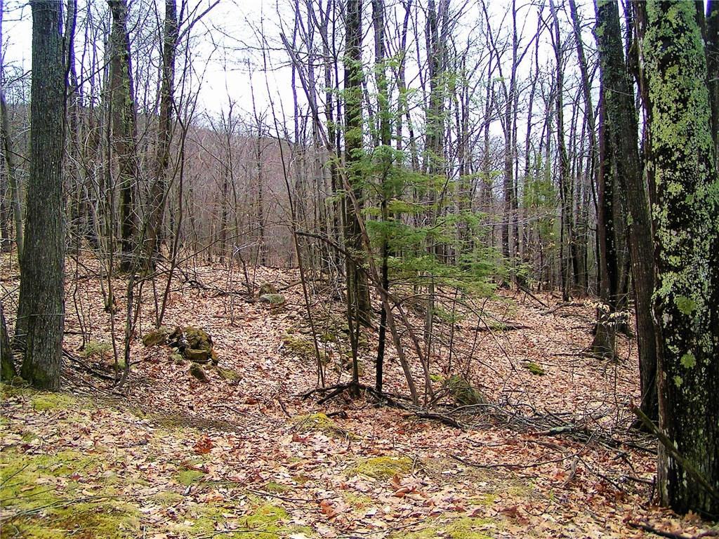 981 Buckfield Road South Paris, ME 04281 - Photo 24 of 26 Photo